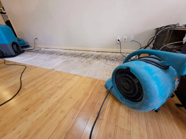 Professional Water Damage Repair technician working in Egypt, PA